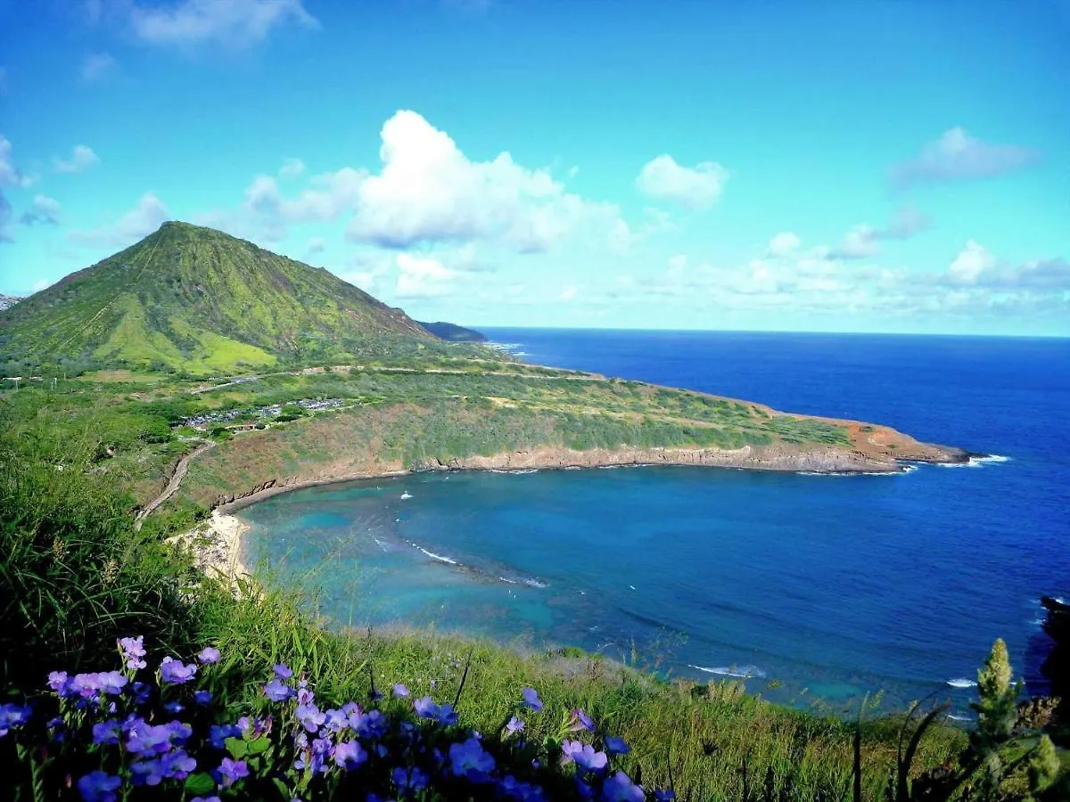 Diamond Head Beach #805 Honolulu