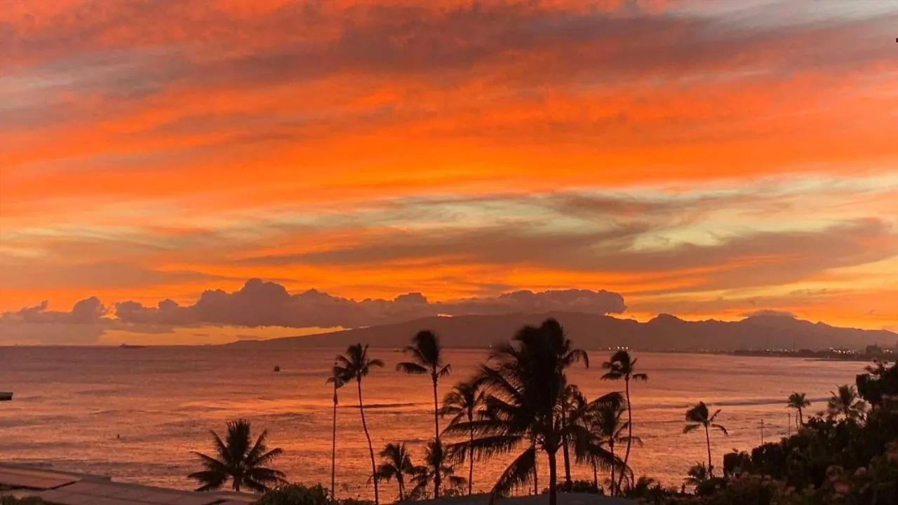 アパート Diamond Head Beach #805 ホノルル